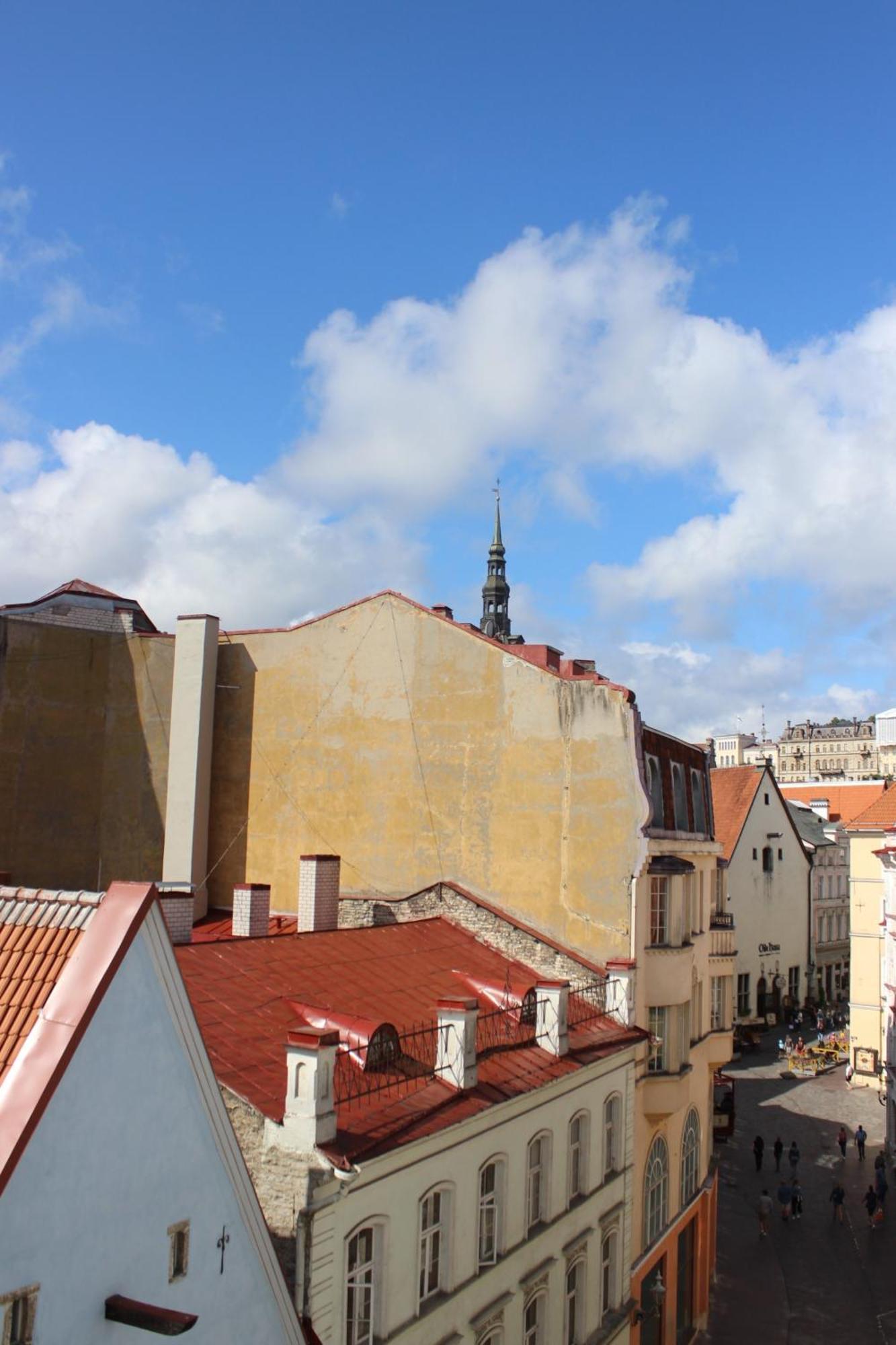 Auberge de jeunesse Viru Backpackers