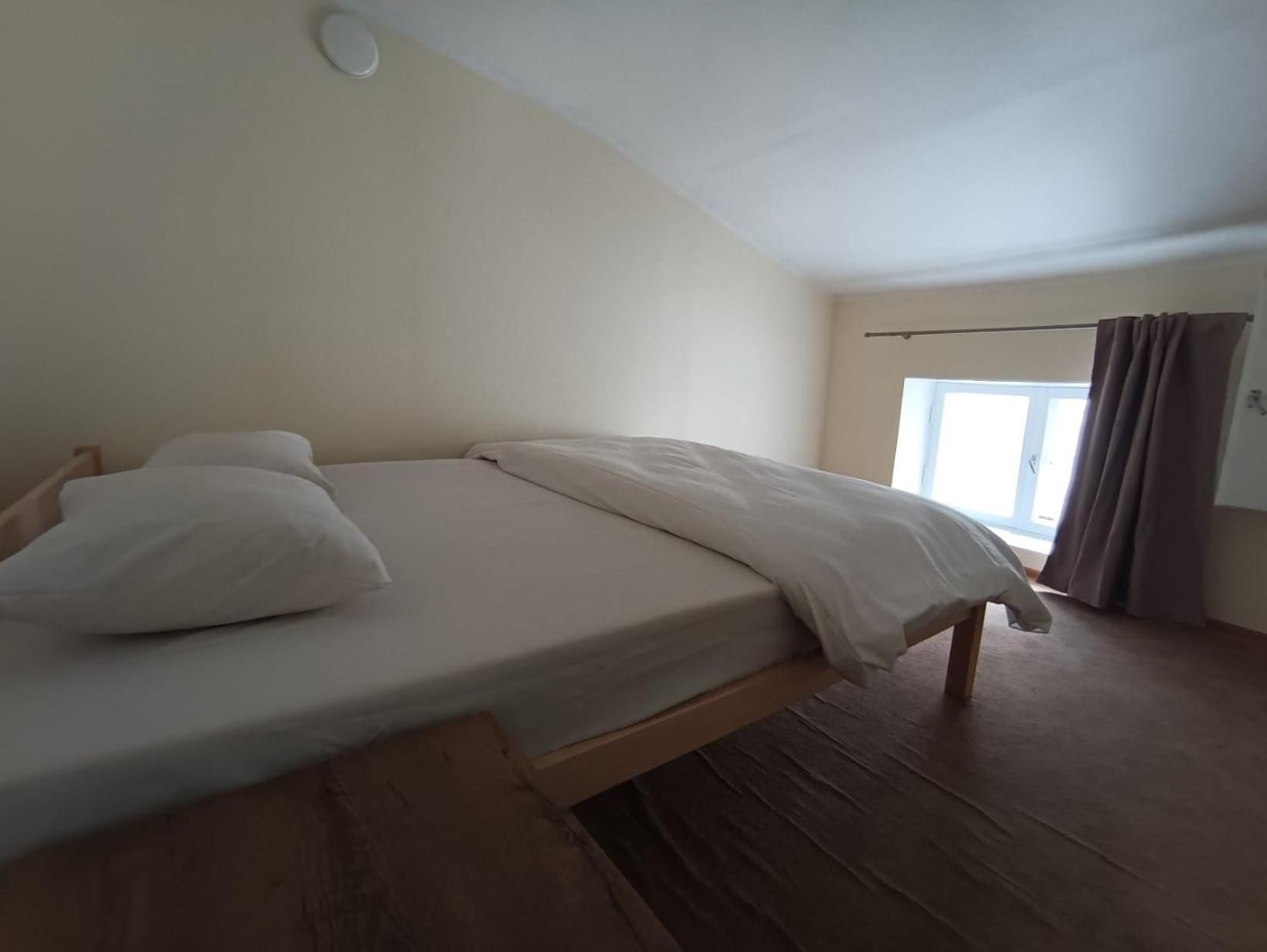 Viru Backpackers Auberge de jeunesse